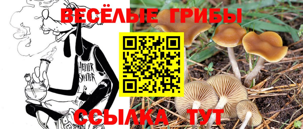 Галлюциногенные грибы прущие грибы Видное